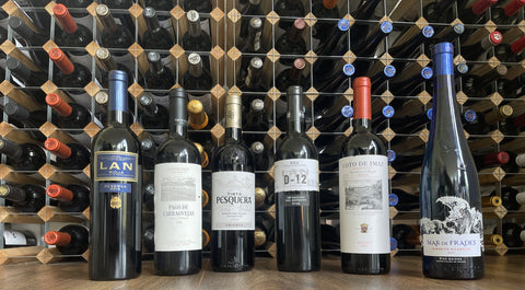 Discover the Magic of Wine