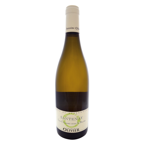 2017, Santenay Les Coteaux sous la Roche, Antoine Olivier White wine