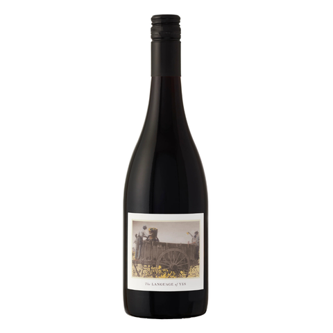 2021, Syrah, Santa Maria Valley, Language of Yes Red Wine