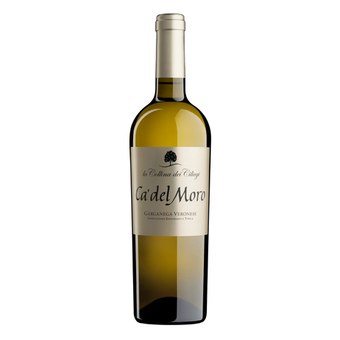 2023, Garganega Veronese Ca'del Moro, La Collina dei Ciliegi White wine