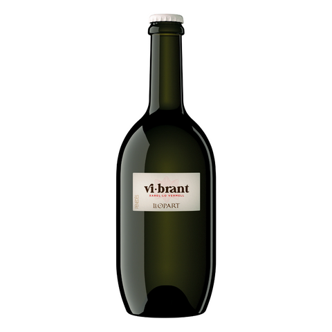 2023, Vi-Brant Pet-Nat, Llopart Sparkling
