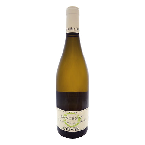 Santenay Les Coteaux sous la Roche, Antoine Olivier 2019 White Wine
