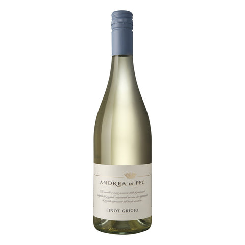 Pinot Grigio, Andrea di Pec 2024 White Wine