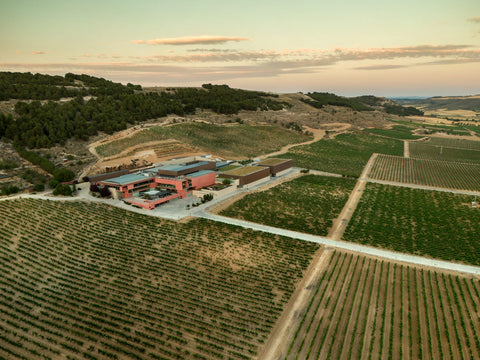 Edka Wineries